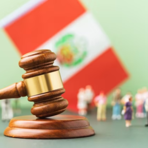 Curso De Especialización En Derechos Fundamentales